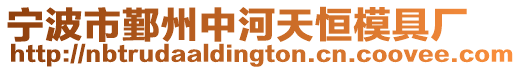 寧波市鄞州中河天恒模具廠