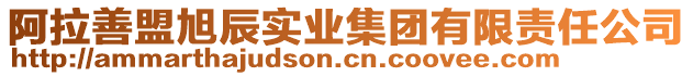 阿拉善盟旭辰實業集團有限責任公司