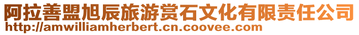 阿拉善盟旭辰旅游賞石文化有限責任公司