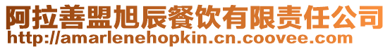 阿拉善盟旭辰餐飲有限責任公司