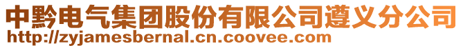 中黔電氣集團(tuán)股份有限公司遵義分公司
