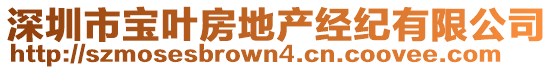 深圳市寶葉房地產(chǎn)經(jīng)紀(jì)有限公司