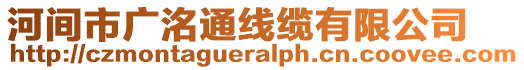 河間市廣洺通線纜有限公司