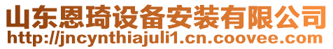 山東恩琦設(shè)備安裝有限公司