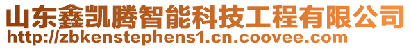 山東鑫凱騰智能科技工程有限公司