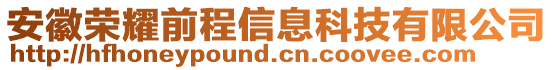 安徽榮耀前程信息科技有限公司