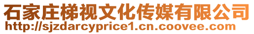 石家莊梯視文化傳媒有限公司