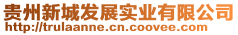 貴州新城發(fā)展實(shí)業(yè)有限公司