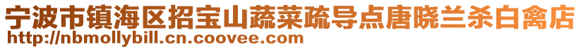 寧波市鎮(zhèn)海區(qū)招寶山蔬菜疏導(dǎo)點(diǎn)唐曉蘭殺白禽店