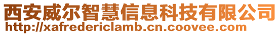 西安威爾智慧信息科技有限公司