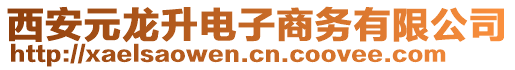西安元龍升電子商務有限公司