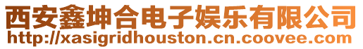 西安鑫坤合電子娛樂有限公司