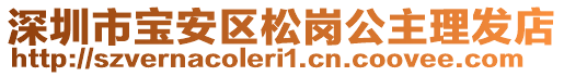 深圳市寶安區松崗公主理發店