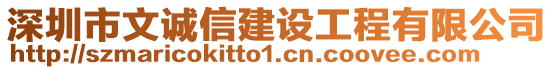 深圳市文誠信建設工程有限公司