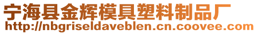 寧海縣金輝模具塑料制品廠