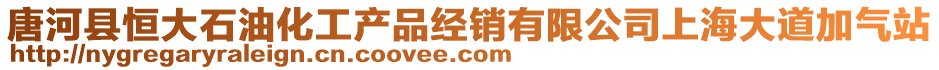 唐河縣恒大石油化工產品經銷有限公司上海大道加氣站