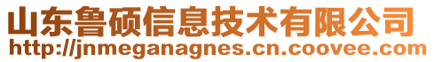 山東魯碩信息技術有限公司