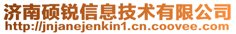濟南碩銳信息技術有限公司