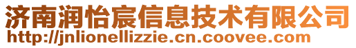 濟南潤怡宸信息技術有限公司