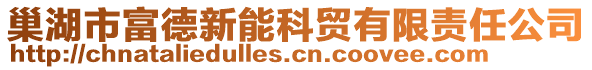 巢湖市富德新能科貿有限責任公司
