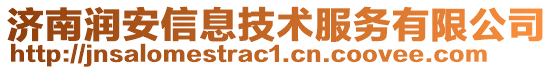 濟(jì)南潤(rùn)安信息技術(shù)服務(wù)有限公司