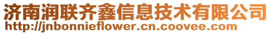 濟(jì)南潤聯(lián)齊鑫信息技術(shù)有限公司
