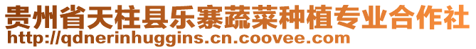 貴州省天柱縣樂寨蔬菜種植專業(yè)合作社