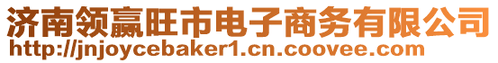 濟(jì)南領(lǐng)贏旺市電子商務(wù)有限公司
