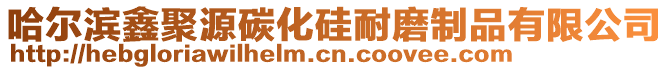 哈爾濱鑫聚源碳化硅耐磨制品有限公司