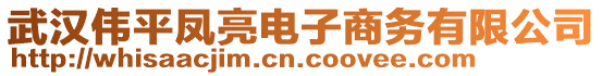 武漢偉平鳳亮電子商務(wù)有限公司