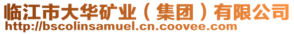 臨江市大華礦業(yè)（集團）有限公司