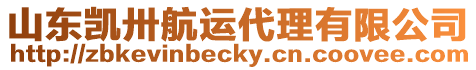 山東凱卅航運代理有限公司