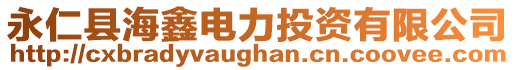 永仁縣海鑫電力投資有限公司