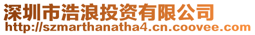 深圳市浩浪投資有限公司