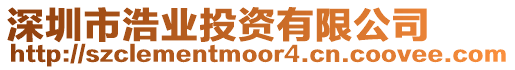 深圳市浩業投資有限公司