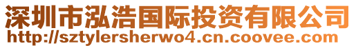 深圳市泓浩國際投資有限公司