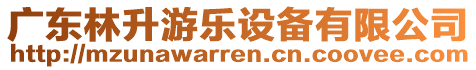 廣東林升游樂設(shè)備有限公司