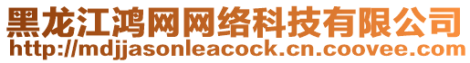 黑龍江鴻網(wǎng)網(wǎng)絡(luò)科技有限公司