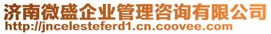 濟南微盛企業(yè)管理咨詢有限公司