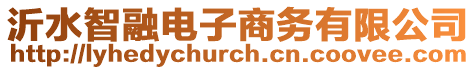 沂水智融電子商務(wù)有限公司