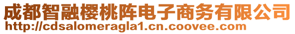 成都智融櫻桃陣電子商務(wù)有限公司