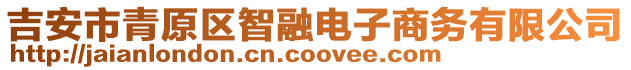 吉安市青原區(qū)智融電子商務(wù)有限公司