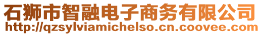 石獅市智融電子商務(wù)有限公司