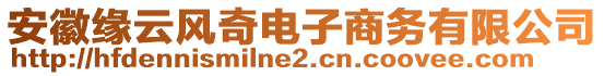 安徽緣云風(fēng)奇電子商務(wù)有限公司