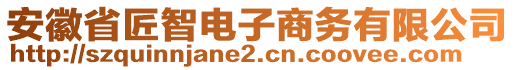 安徽省匠智電子商務(wù)有限公司