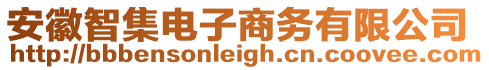 安徽智集電子商務有限公司