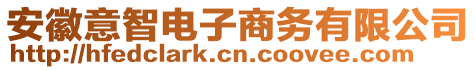 安徽意智電子商務有限公司