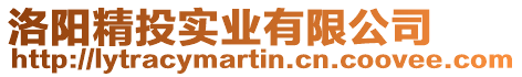 洛陽精投實業有限公司