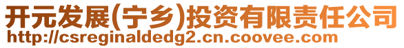 開元發(fā)展(寧鄉(xiāng))投資有限責任公司