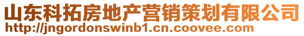 山東科拓房地產營銷策劃有限公司